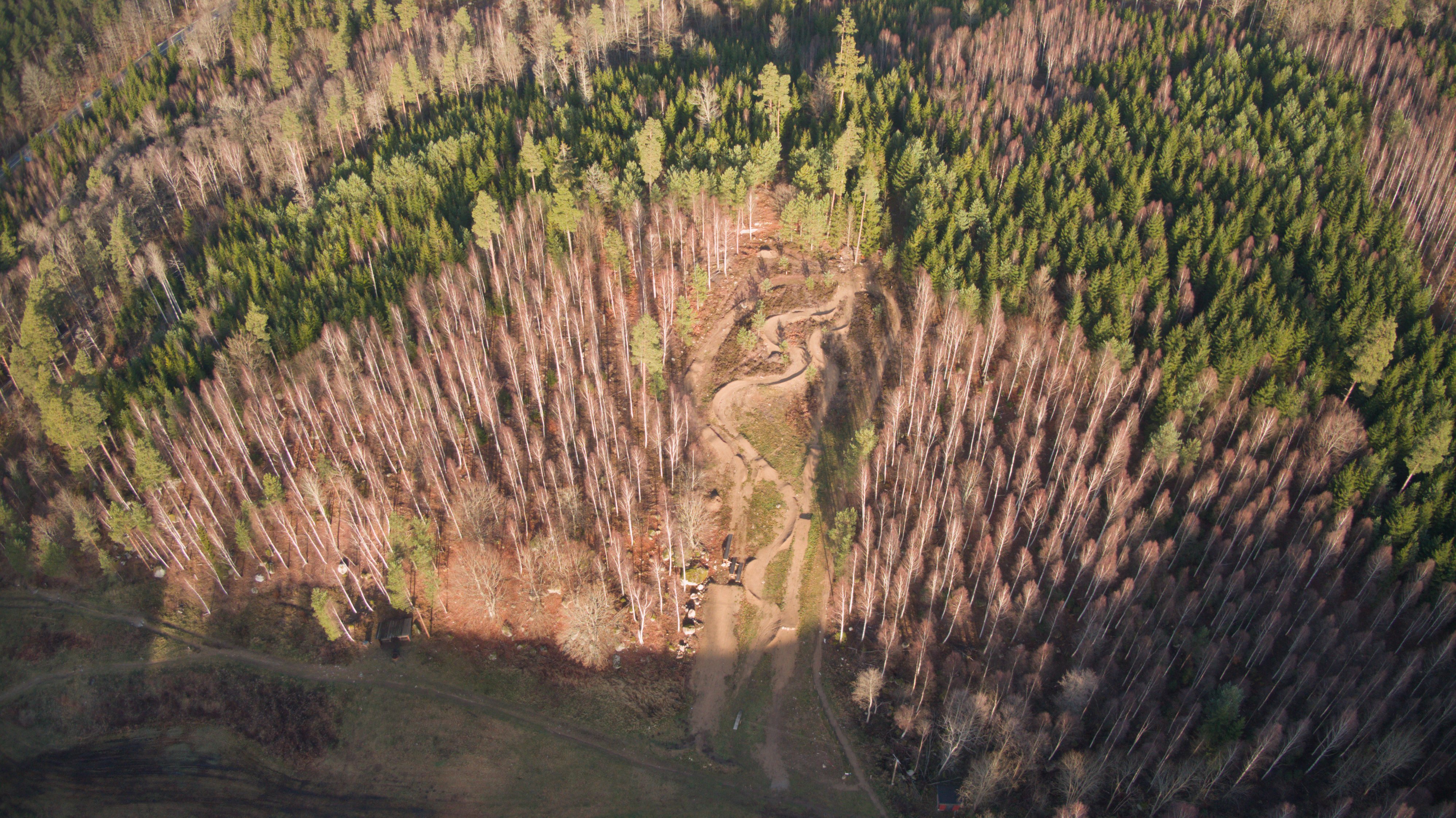 Drönarfoto av landskap i Blekinge